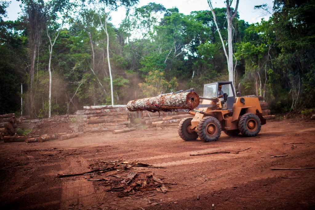 O desmatamento da Amazônia é um dos fatores que explicam a falta de chuvas no Brasil